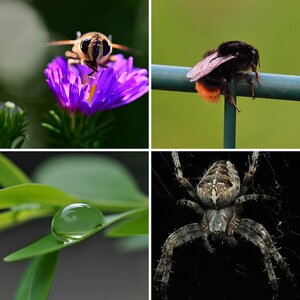 Erste Macro's