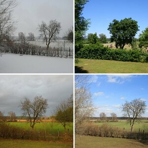 Serie aus Fenster