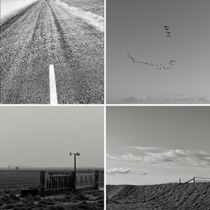 Texel