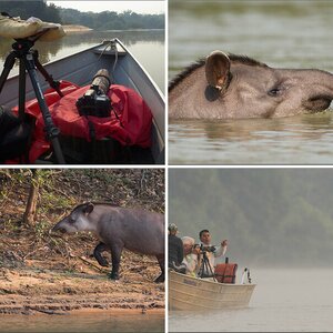 Pantanal-2-1012