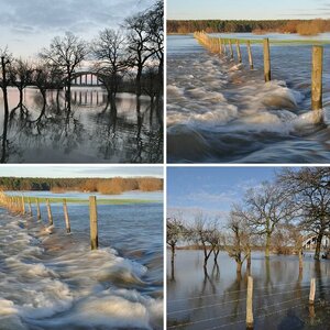 NATUR ( Bilder teils geschnitten, evtl. Helligkeit, Kontrast und Farbtemperatur verändert)