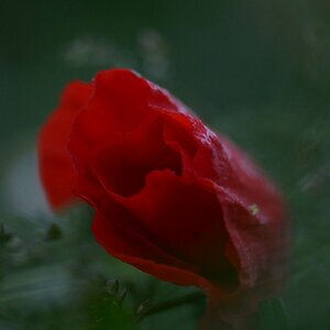 available light