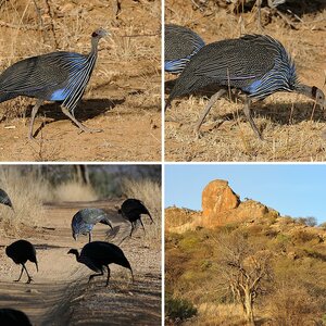Kenia September 2012