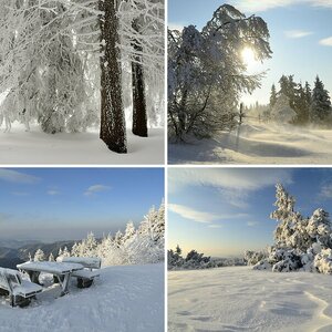Ein Wintertag im Schwarzwald