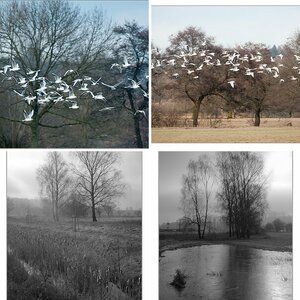 Winter 2012