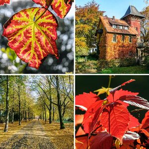 Herbst II