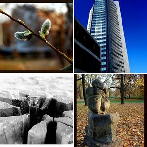 Vermischtes mit Nikon D40