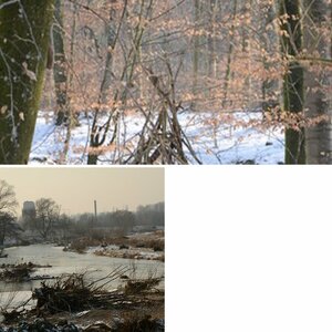 Test Landschaft