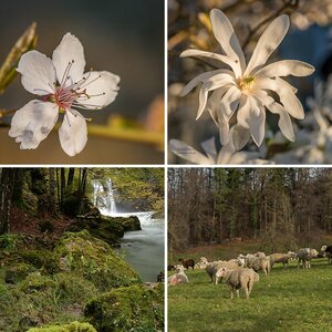 Wald und Flur