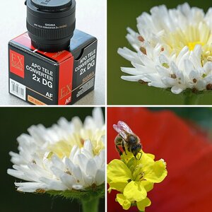 Nikon DX AF 85mm