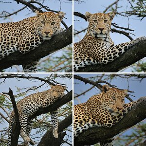 Kenia September 2012 II
