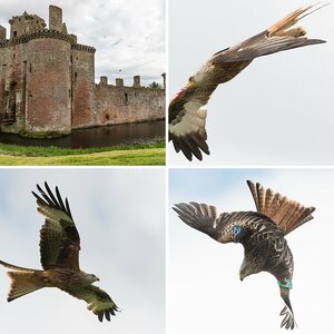Scotland 2013 (4)