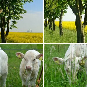 Natur