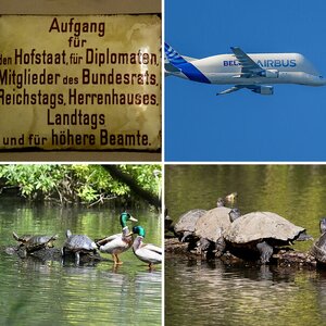 Glasers Beispielbilder