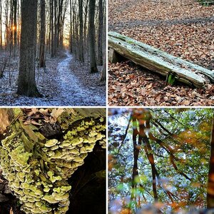 Landschaft