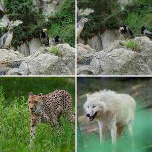 Zoo