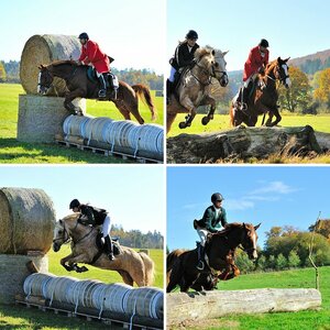 Reitjagd
