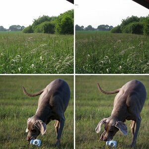 Bo`s fotokurs