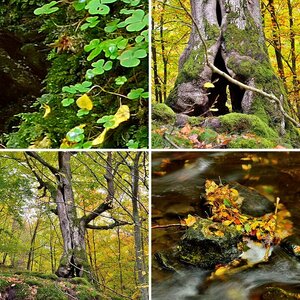 Traumschleife Baybachklamm