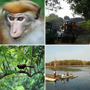 Sri Lanka