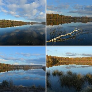 Hasenmoor, Oktober 2012