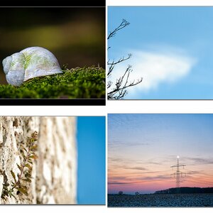 Natur