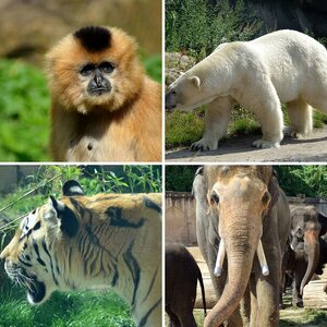 Zoo