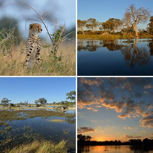 Botswana 2014