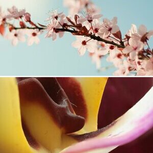Natur