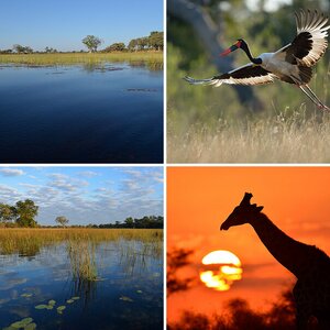 Botswana 2014 Dombo Farm