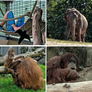 Zoofotos