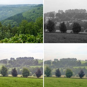 landschaft