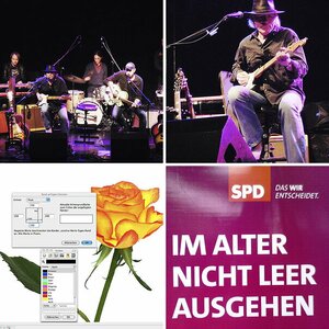 Schaubilder XIII
