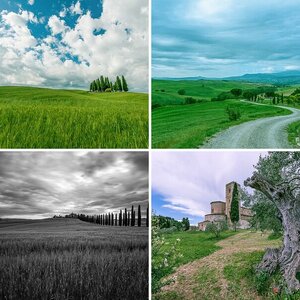 Toskana, Val d Orcia`2014