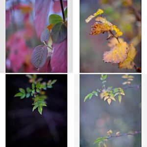 Farbe5