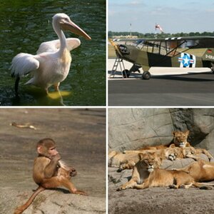 Impressionen
