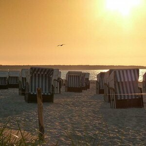 Strandkörbe