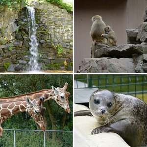 Erste Versuche im Zoo