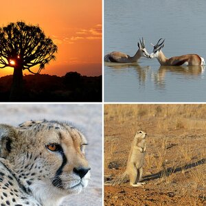 Namibia_2013