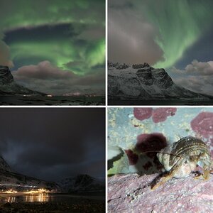 Norwegen 2