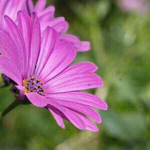 Makro_Leitax