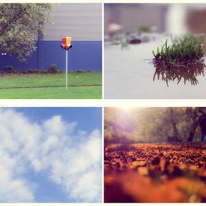 365-Tage-Projekt V