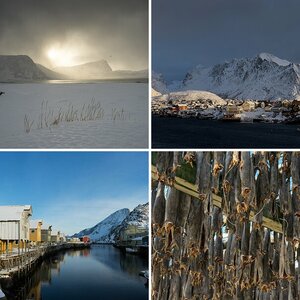 Lofoten