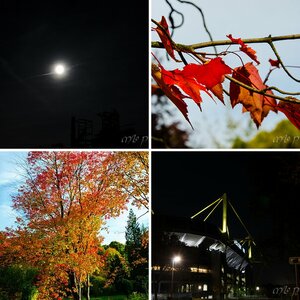 Testbilder