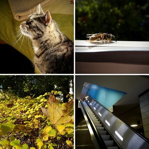 Erste Fotos mit der P7000