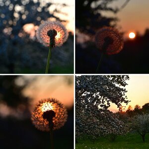 Frühling
