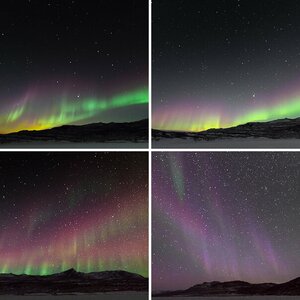 Nordlicht