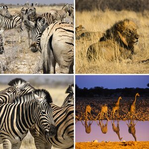 Namibia