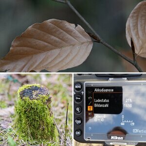 D800 Test-->OOC!