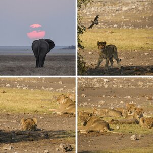 Namibia 2